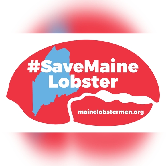 Meet your Posher, Rebekah - Picture 1 of 2